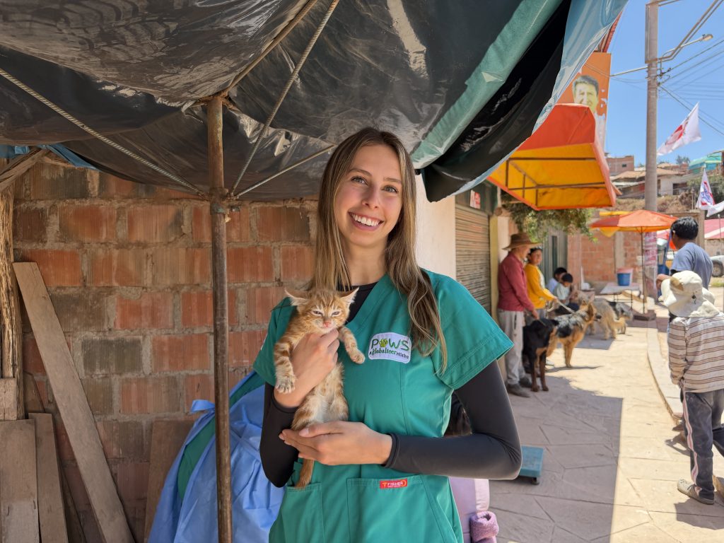 Smiling PAWS Peru volunteer in teal scrubs holding a tiny puppy