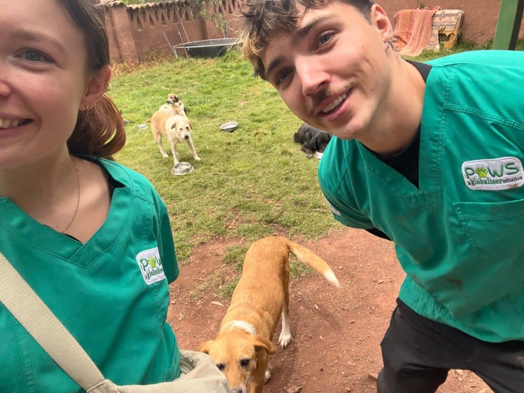 PAWS Peru volunteers with rescue dogs in Cusco, Peru