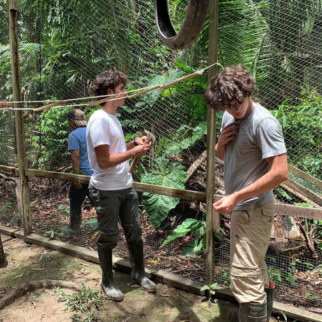 Volunteers working in an enclosure Volunteers working in an enclosure at the wildlife sanctuary in the Peruvian Amazon
